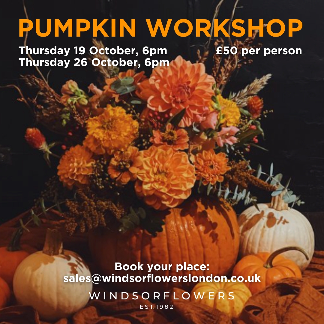 Pumpkin workshops with Windsor Flowers at Leadenhall Market